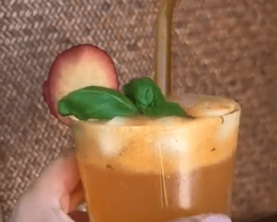 Marukan Plum Shrub Mocktail